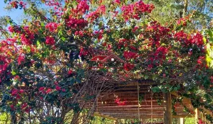 Sítio à venda em Juquitiba  com 2 casas e salão de festas.