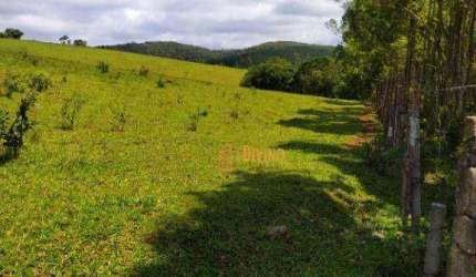 Fazenda à venda, 36 Alqueires por R$ 4.500.000 - Zona Rural - Pilar do Sul/SP