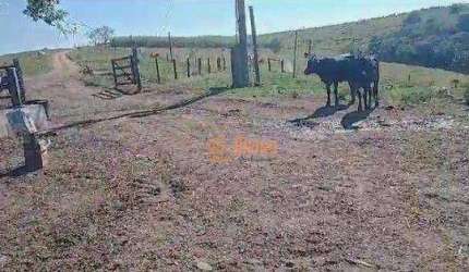 Fazenda à venda, 67 Alqueires por R$ 16.000.000 - Área Rural - Itapetininga/SP
