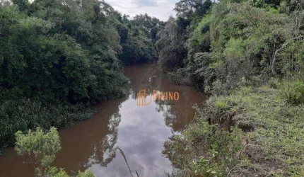 Sítio à venda, 12 Alqueires por R$ 1.440.000 - Zona Rural- Capela do Alto/SP