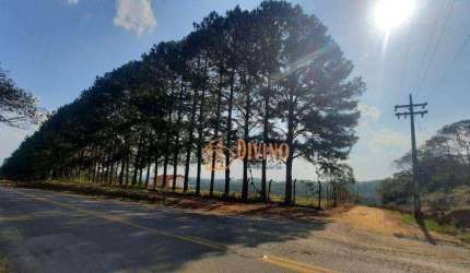 Sítio à venda, 135520 m² por R$ 1.100.000 - Douradinho - Piedade/SP