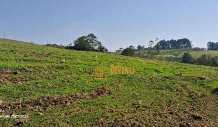 Sítio com 3 dormitórios à venda, 72600 m² por R$ 830.000 -  São Miguel Arcanjo/SP