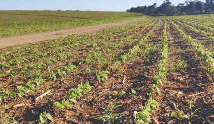 Fazenda à venda, 3484800 m² por R$ 37.000.000 - Zona Rural - Itapetininga/SP