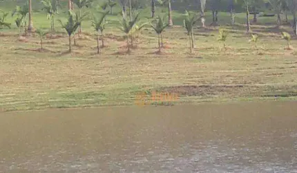 Fazenda à venda, 50 Alqueires por R$ 8.500.000 - Zona Rural - Piedade/SP