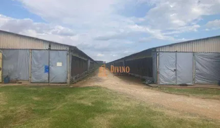 Sítio com Granja à Venda na Região de Itapetininga-SP