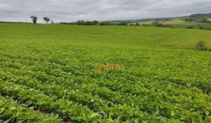 Excelente Sítio à Venda na Região de Sorocaba-SP