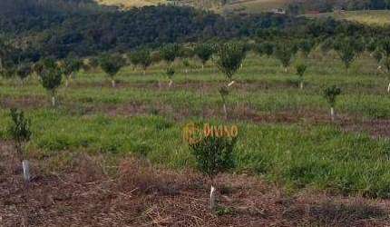 Sítio à Venda em São Miguel Arcanjo - SP