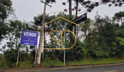 Ótimo Investimento - Área com 5 Alqueires , à venda em São José dos Pinhais, Costeira