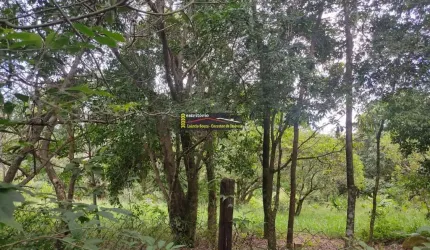 Terreno Venda em Valinhos SP, regiao de chácaras bairro Chácaras São Bento, região se chácaras 2.000m - R$ 590.000,00