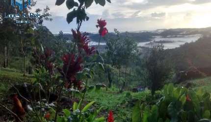 GRANDE OPORTUNIDADE DE ADQUIRIR EXCELENTE FAZENDA COM PREÇO IMPERDÍVEL NA REGIÃO SUL DA BAHIA!!