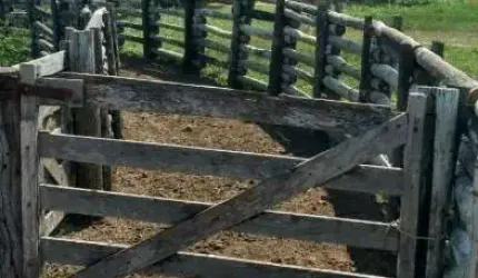 Fazenda à venda na Rua General Rondon, 638, Centro, Corumbá por R$ 60.000.000