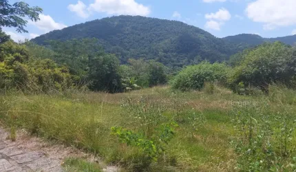 Maravilhoso Sítio na Ilha de Guaratiba