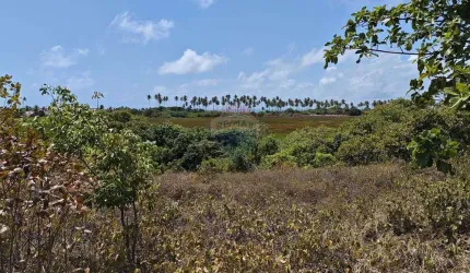 LOTE DE TERRENO EM  PRAIA DOS COQUEIROS PITIMBU B14