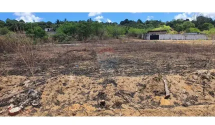 TERRENOS PARA MINI GRANJA