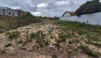 VISTA DE CARAPIBUS!