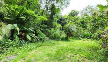 Asset Imóveis vende sítio, 164.347m² (16,434 hectares), por R$ 3.600.000 - Engenho do Mato - Niterói/RJ