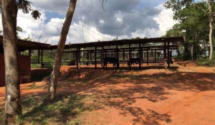 Lindo Haras com casa sede no Rio Verde permuta até 50%