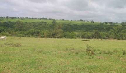 Sitio a venda com 2 alqueires e meio,em Guaianazes (Município de Pederneiras )