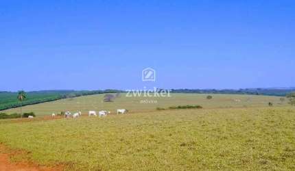 Òtima Fazenda a Venda na Região Duartina/Avaí