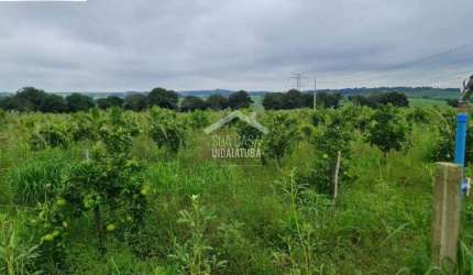 Sítio de 38.000m em Cardeal totalmente formado e produzindo