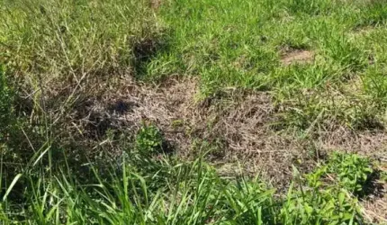 TERRENO A VENDA NO CENTRO DE RIO DAS OSTRAS.