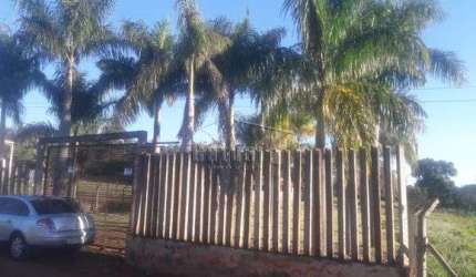 Fazenda à venda - Bairro Rural Fazenda Gleba Palhano, Londrina