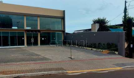 Salao comercial à venda -  Centro, Lndrina