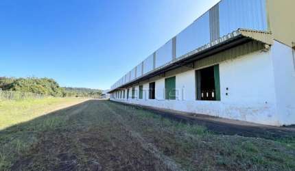 Barracao Comercial para locação - Conjunto Habitacional Jamile Dequech, Londrina PR