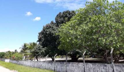 REF: TER010 - Granja à Venda, João Pessoa, Mumbaba, 2 hect., Casa c/ 3 quartos