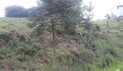 Terreno Residencial à venda, Serra dos Lagos, Cajamar - TE0572.