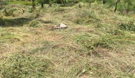 Terreno à venda na Alameda dos Cedros, Vale das Acácias, Ribeirão das Neves por R$ 120.000