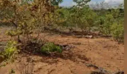 Terreno à venda na Padre Félix, 75, Zona Rural, Felixlândia por R$ 3.500.000