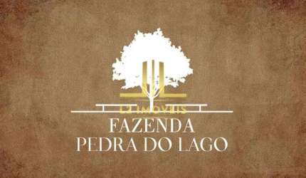 LOTE - FAZENDA PEDRA DO LAGO