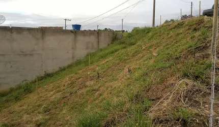 Lote / Terreno - São Geraldo