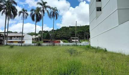 Lote / Terreno - São Pedro