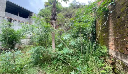 Lote / Terreno - Democrata