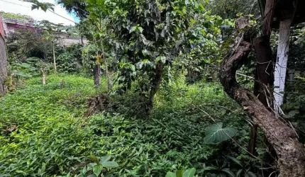 Lote / Terreno - Cidade Jardim