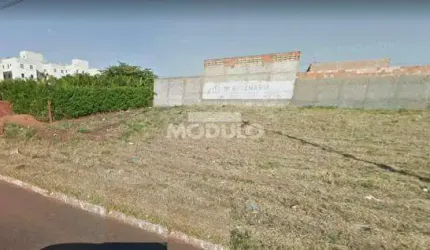 Área para locação Bairro Laranjeiras
