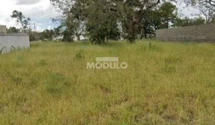 Exelente Area No Karaiba