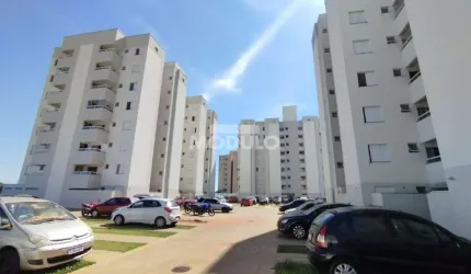 Apartamento com elevador no Jd Europa