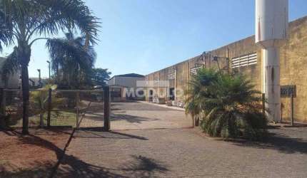 Galpão/Depósito/Barracão à venda, 10 vagas, DISTRITO INDUSTRIAL - Uberlândia/MG