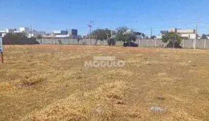 LOTE à venda, Segismundo Pereira - Uberlândia/MG