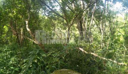 Tereno á venda no bairro Canasvieiras em Florianópolis.