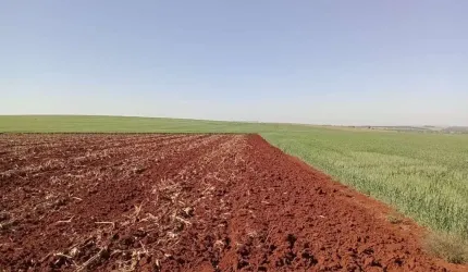 Fazenda região de Avaré   409 alqueires  Área de APP 40 alqueires  70 alqueires em pasto p gado  299 alqueires em Plantio  Roda pivô  Arrendatario vai