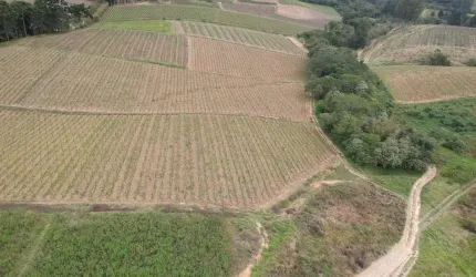SÍTIO A VENDA EM SÃO MIGUEL ARCANJO-SP ??   Área Total 9,77 Alqueires   Aproveitamento 8 Alqueires   Topografia Leve Ondulada   100% Tratoravel   Solo Misto   Boa em Água, Açude e Nascente  Benfeitori