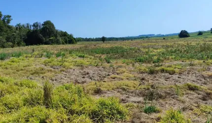 Sítio à venda em Itapetininga-SP: 1 quarto, 1 banheiro e 992.200,00 m² de área na Área Rural