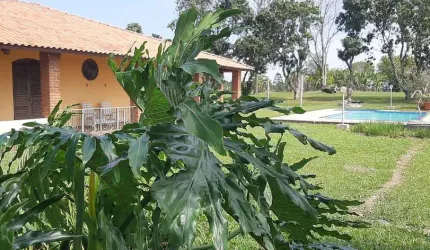 Imperdível: Sitio à venda em Sarapuí-SP, Zona Rural, 3 quartos, 1 suíte, 2 salas, 3 banheiros, 5 vagas de garagem, 65.430m²!