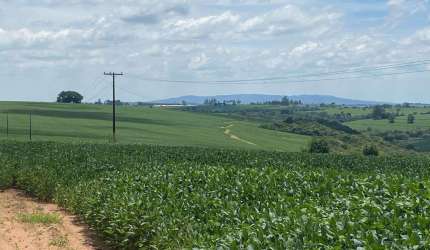 Fazenda à venda em Itapetininga-SP: 2 quartos, 1 sala, 1 banheiro e 3.484.800,00 m² de área!