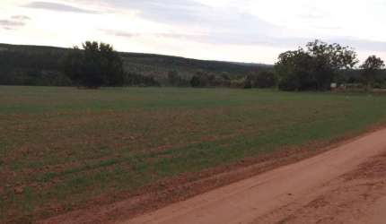 Exclusiva fazenda à venda em Itapetininga-SP: 2 quartos, 1 sala, 1 banheiro e 3 vagas de garagem em Área Rural de 1.282.600,00 m²