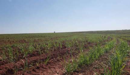 Fazenda à venda em Nova Granada-SP, Zona Rural: 1 quarto, 1 banheiro, 1.718.200,00 m² de área. Venha conferir!